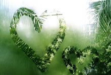 玩加电竞官网:维埃里:尤文主场的亚特兰大令人畏惧 国米赢费耶诺德没费多大力气.