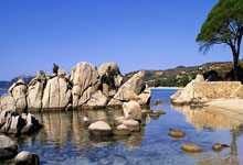 玩加电竞官网:WCBA:山东赤水河酒女篮94-76福建女篮 提前锁定季后赛席位.